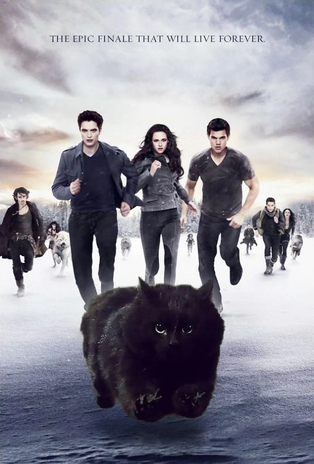 breaking-dawn-578580714a5b1__700