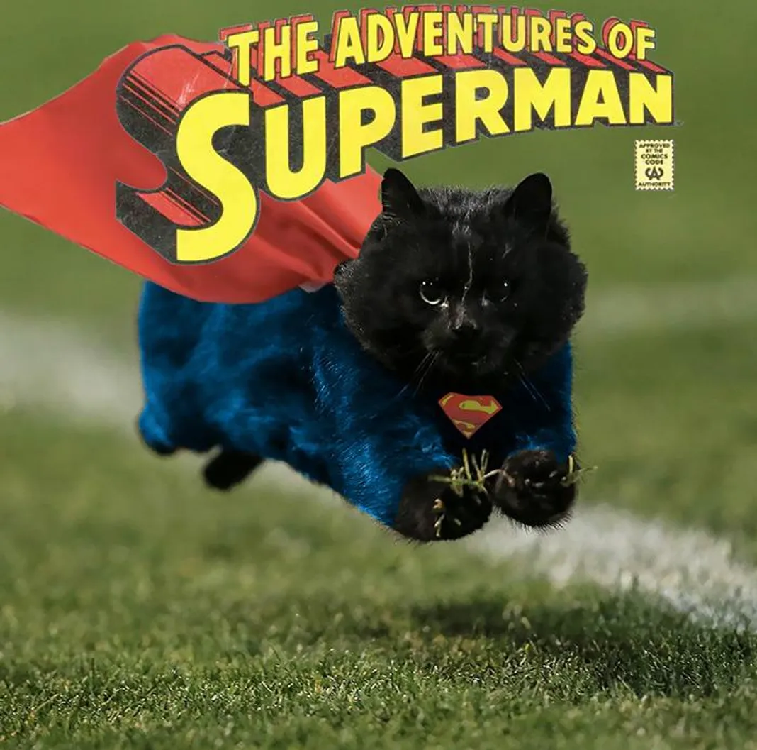 flying-cat-rugby-game-photoshop-battle-3-5784a36e5c220-png__700