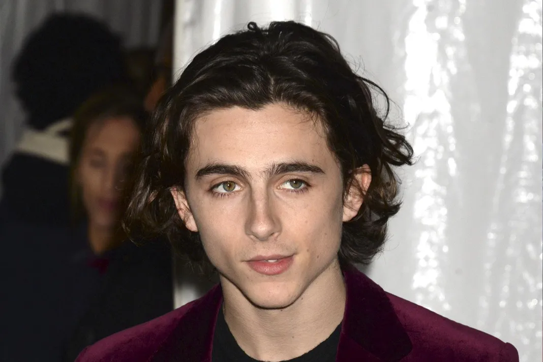 Timothee Chalamet Decided to Pursue Acting Dreams After Meeting Kid Cudi