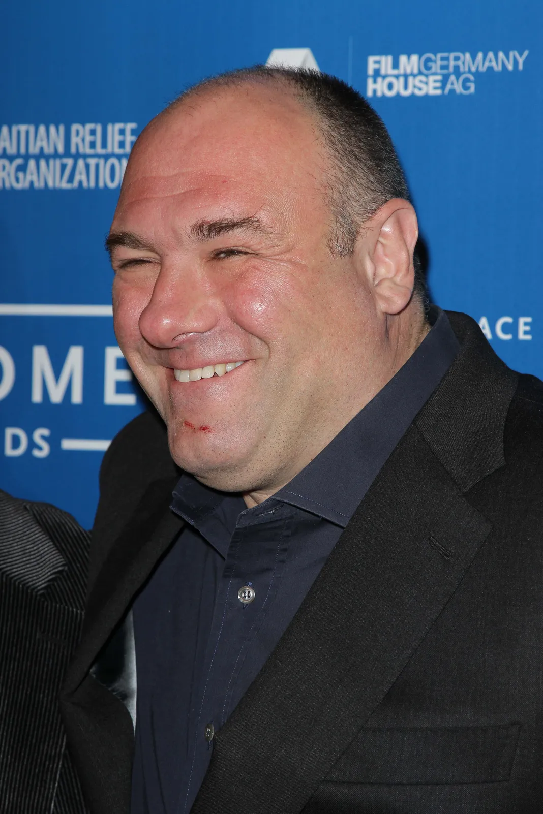 james gandolfini james gandolfini