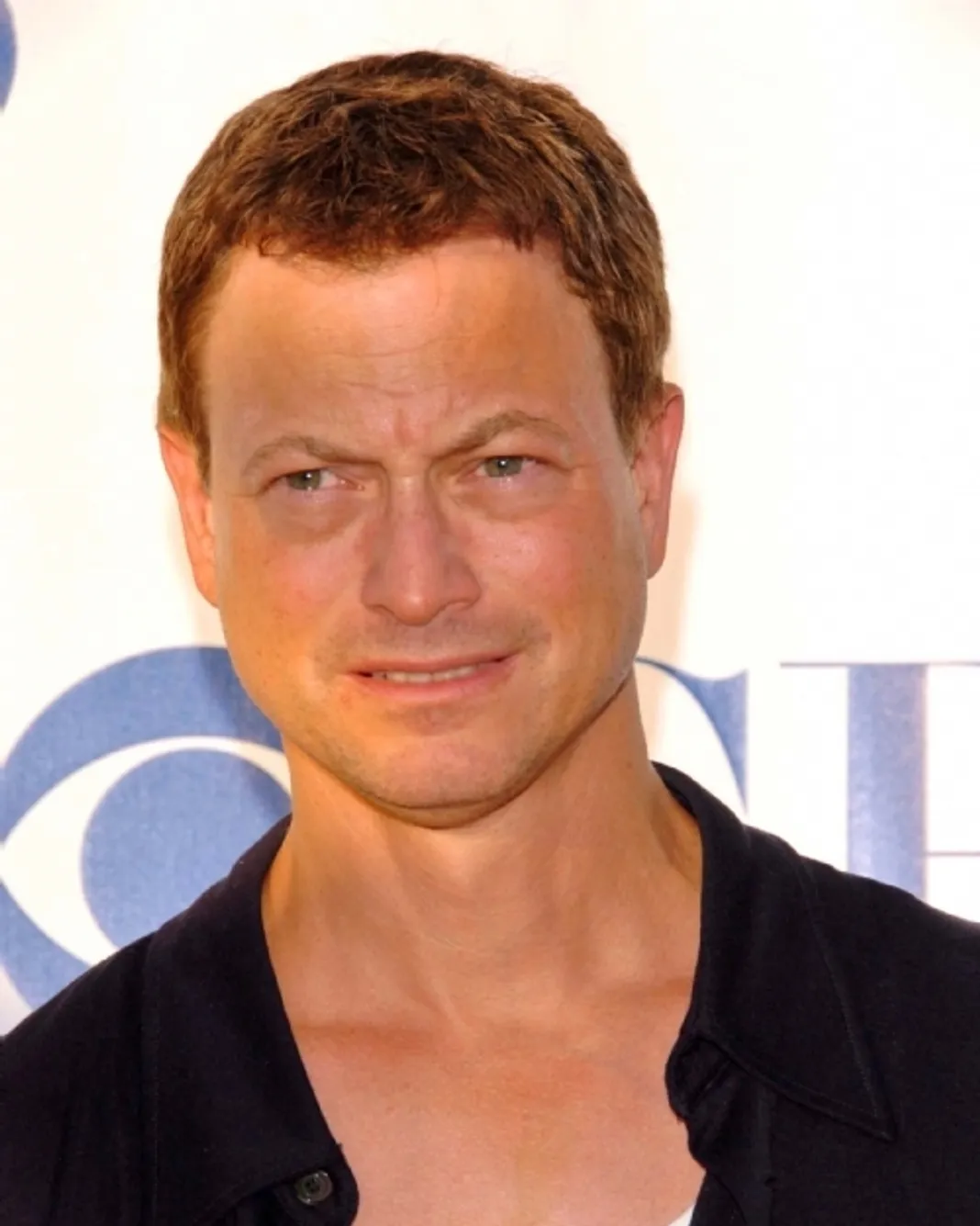 gary sinise gary sinise