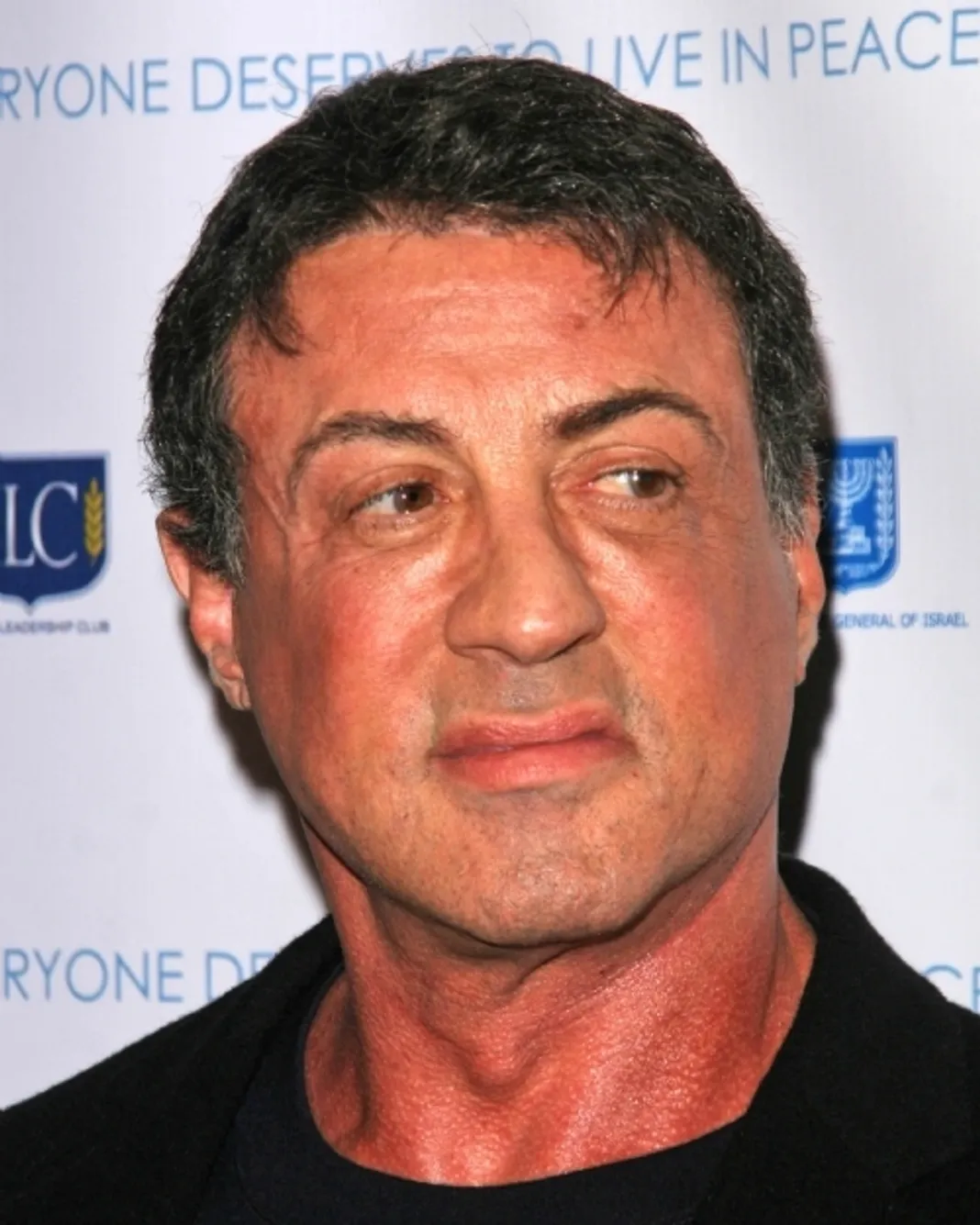 hollywood celebrities republican republican celebrities hollywood celebrities republican republican celebrities