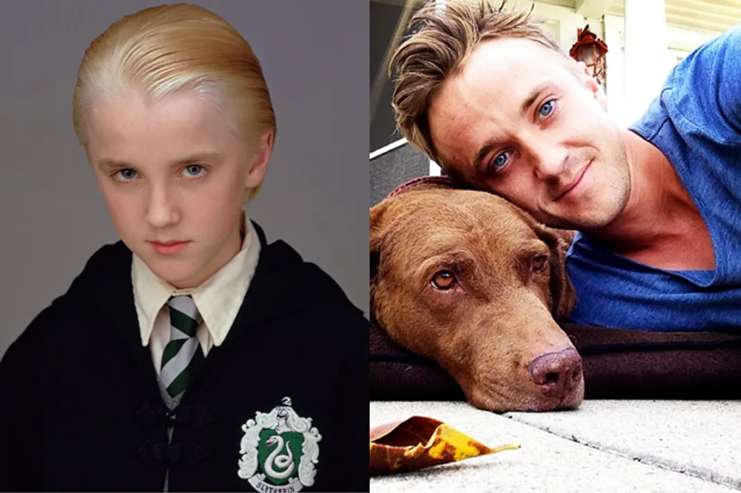 Tom Felton - Draco Malfoy