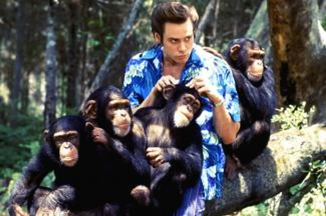 Jim Carrey’s 10 Funniest Movie Moments Jim Carrey, Ace Ventura: When Nature Calls