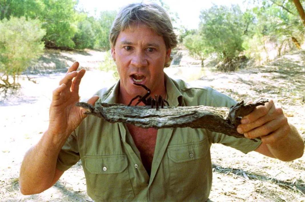 Steve Irwin, Crocodile Hunter: Collision Course