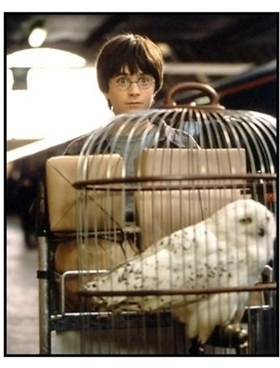 Harry Potter and the Sorcerer's Stone