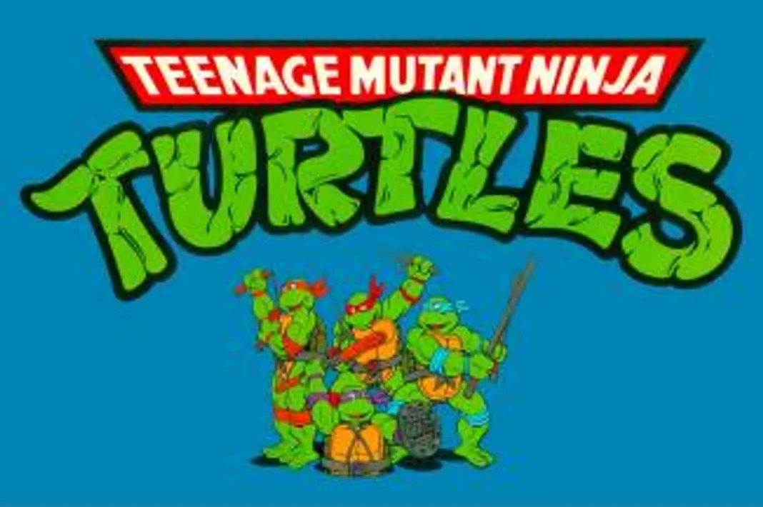20 Facts You Didn’t Know About The Teenage Mutant Ninja Turtles teenage mutant ninja turtles