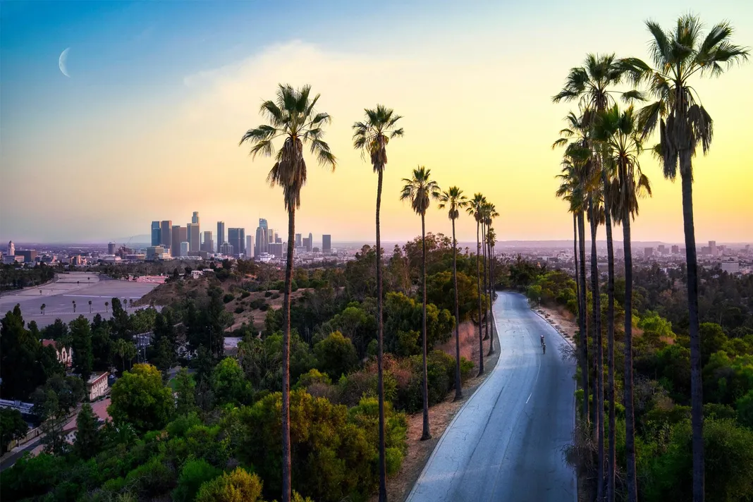 Road with palm trees with Los Angeles in the background.