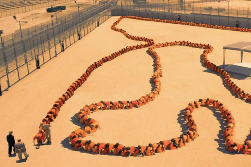 Раскраска сороконожка распечатать. Красная многоножка. Многоножка сколопендра. Small centipede - oxidus gracilis. Сороконожка это насекомое или нет.